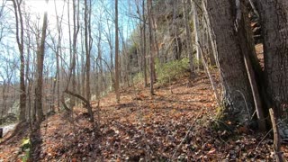 Pickett state park complete Trail T100 Polaris XP1000/ Turbo S/ XP4 Turbo/ Can-Am Maverick X3 XRC