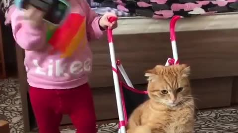 See! A little girl teaches a cat how to work with the phone