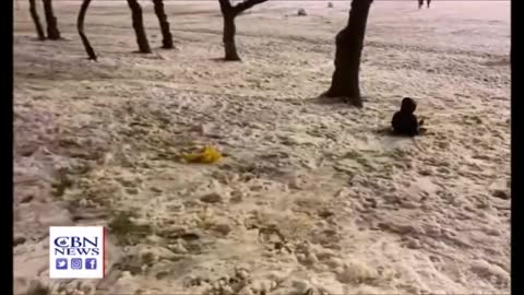 SHOCKING VIDEO! WHY DID HUMANS, TURTLES, & CREATURES ALL JUST FREEZE TO DEATH