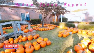 The Beautiful color of Pumpkins