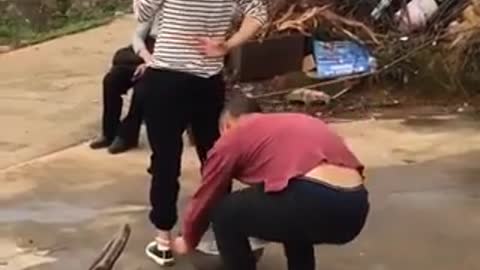 Funny videos collection