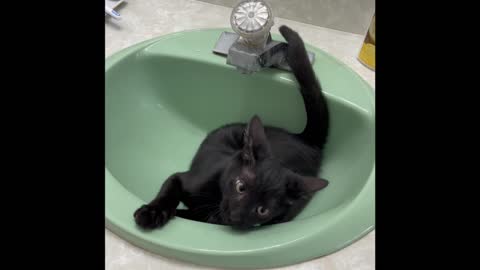 Magic discovers the sink