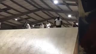 Over weighted flip Challenger Skateboard Ramp