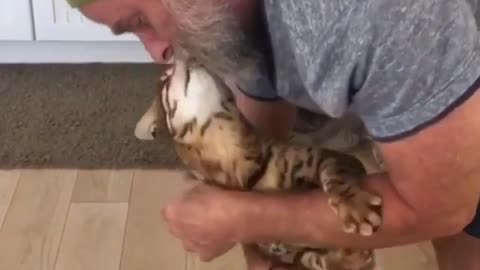 Cat Loving Her Owner's So much