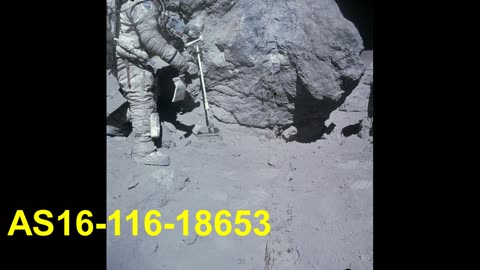 Moon Hoax -Disney Pig Rock Seen Hidden in Nevada Fake Moon Bay