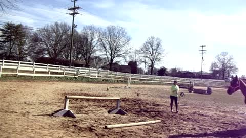 How to train your horse to jump