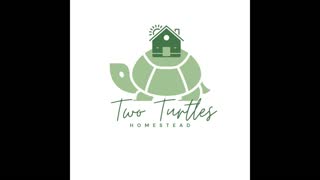 Two Turtles House Build