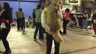 Doggy Dancing Partner