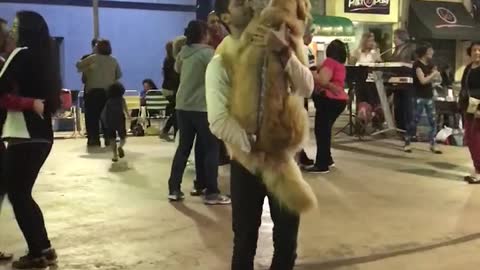 Doggy Dancing Partner