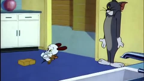 Tom and Jerry-Puppy Tale