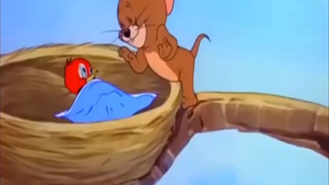 🐭🧡 Tom & Jerry: Jerry's Heroic Rescue of Woodie Packer Chick 🐱❤️
