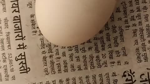 Kadaknath_Chicks_Egg_Hatching_Process_-_VRG(1080p).mp4