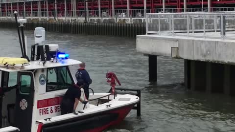 Saving a Deer that Jumped into the Hudson River