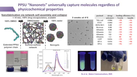 Engineering the Bio/Nano Interface of Soft Nanobiomaterials for Immunotherapy nanoBioNODE 2021