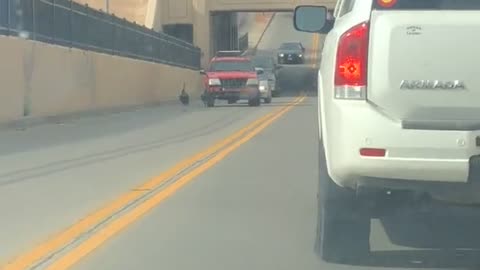 Impatient Driver Speeds Through Turkey's Holding up Traffic