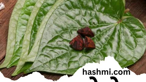 Three amazing benefits of eating betel leaves