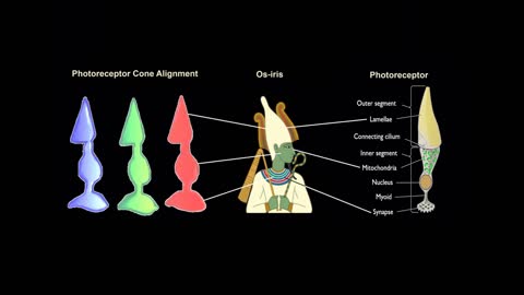 DMT Deities, Myth & Tryptamines