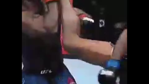 UFC fight