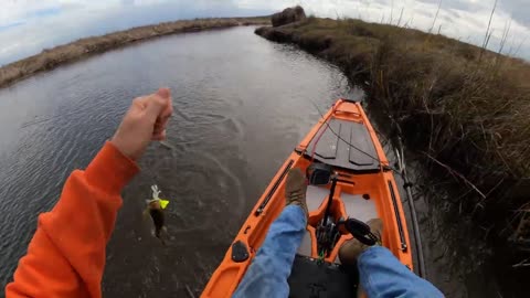 Bayou Lacombe Bass 1/11/24