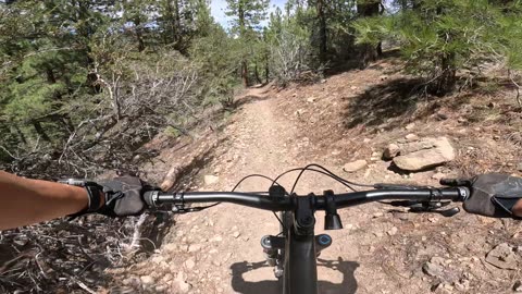 [MTB] Thomas Creek Trail (Reno, NV); Part 1