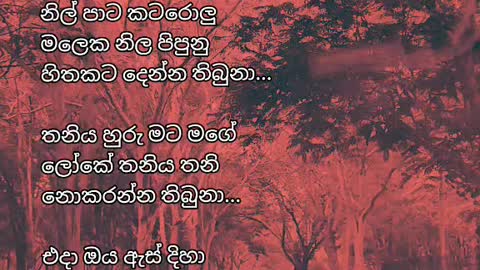 මතක / Memories