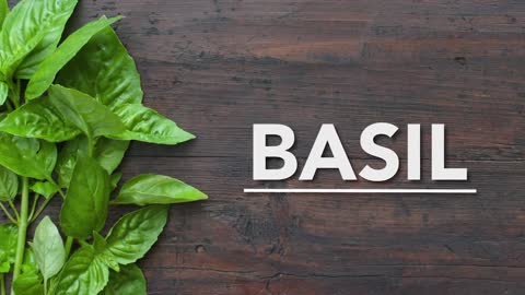 8 Health Benefits of Basil