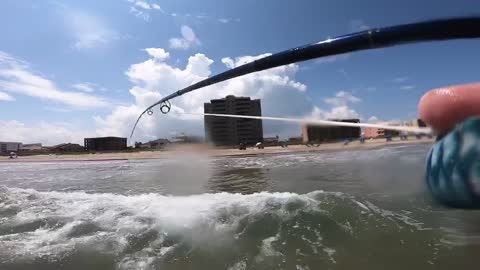 Huge Lady Fish on the Fly using an Orvis Helios at South Padre Island