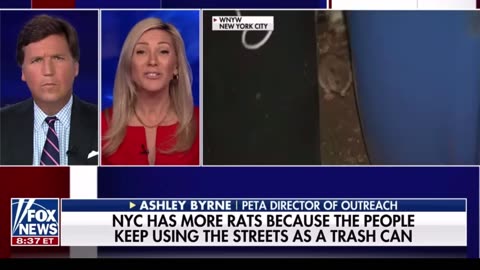 Tucker Carlson response to New York RATS