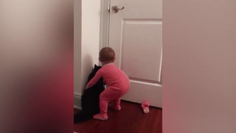 Cat helps baby to open the door