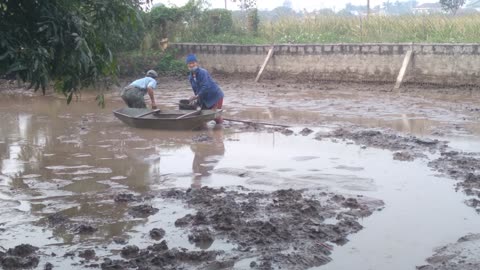 The farmer catches fish in the pond