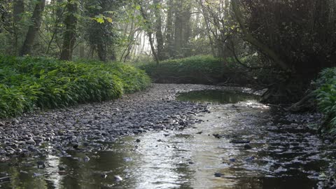 Water Flowing in River