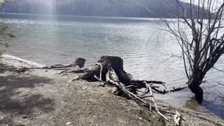 Gale Creek Day Use Area at Kachess Lake – Okanogan-Wenatchee – Washington – 4K