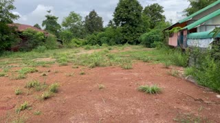 Land to Clear- Thailand