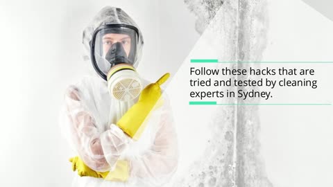 Tips to Get Rid of Mould From Every Surface in Your Home