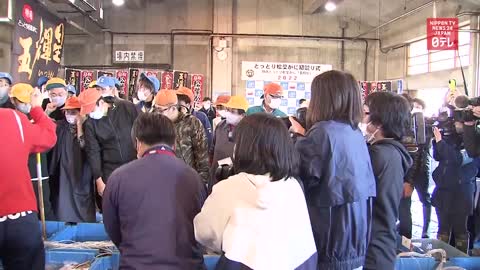 Snow crab fetches 1 million yen in season's first auction