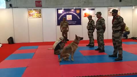 CISF demonstration of Dog Squad