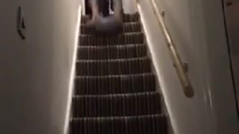 Plaid german man slides face first down stairs on pillow