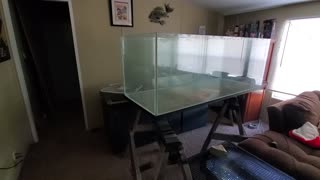 How to handle a leaking fish tank