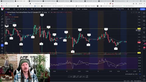 Cannabis Stocks Consolidate