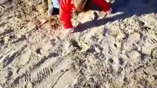 Toddler red slide lands on belly