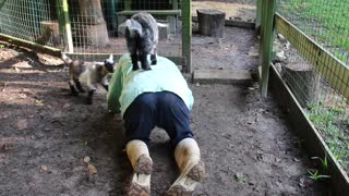 Goat Yoga with Tyrone and Tonto