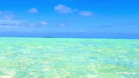 Crystal Clear water beach in Hawaii