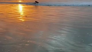 Running on the beach in Palm Beach Fl. day after Christmas