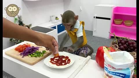 Monkey and human salad food