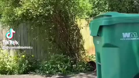 Taking the bin out
