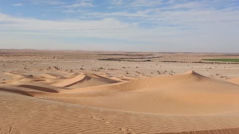 Desert of Algeria