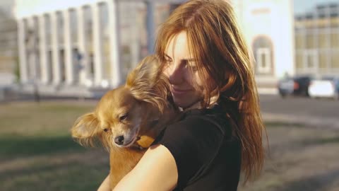 Young beautiful woman in the park with her funny long haired chihuahua dog