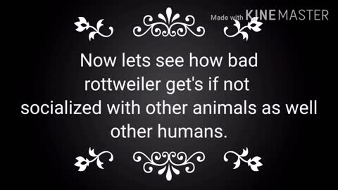 Rottweiler Attacks till 2021 || Rottweiler vs other Dogs|| Rottweiler Vs Humans.