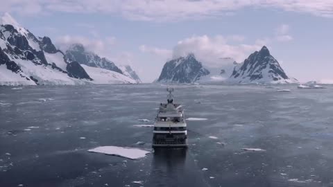 Antartica- The frozen continent wild life
