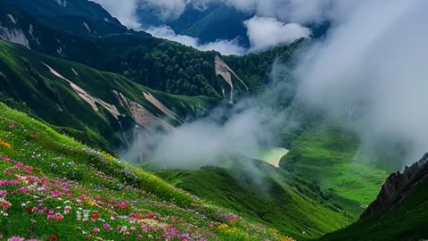 Mountains, water, flowers, very beautiful